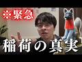 【緊急】お稲荷様から衝撃の真実。最後のメッセージを届けます。