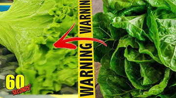 60 SECONDS Experiment - SHREDDING VS Salad | CRASH TEST