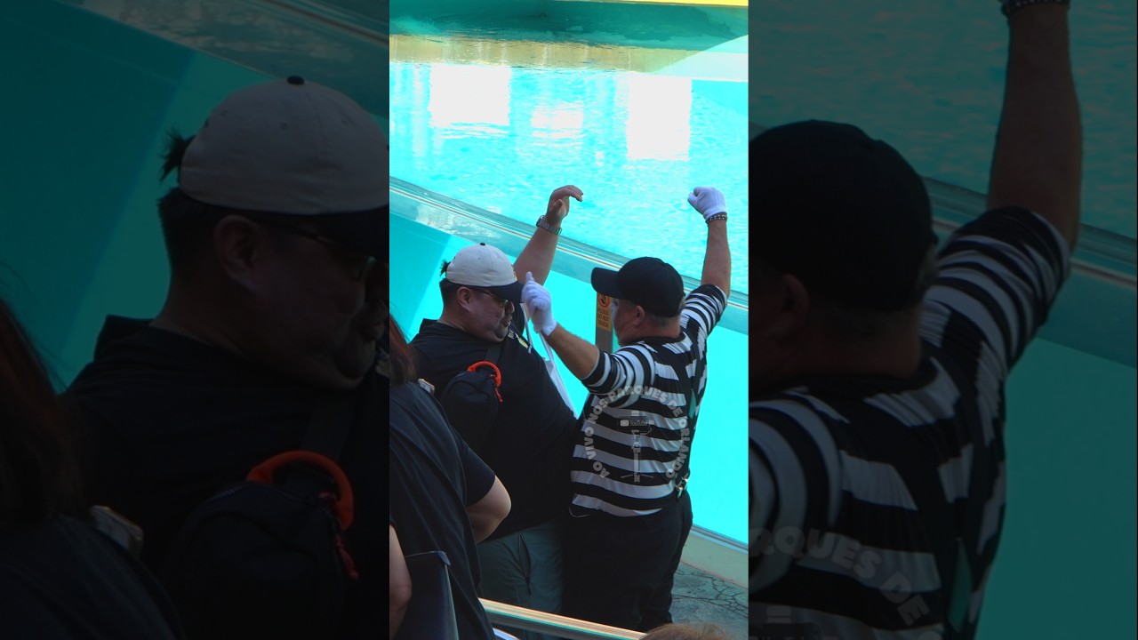Tom o mímico cumprimentou este homem com a barriga 😂🤣 #tomthemime #seaworldmime