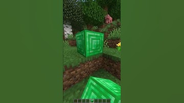 Placing An Emerald Block in the Forest #minecraft #minecraftmemes #minecraftshorts #shorts #fyp