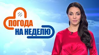 Погода на Новый год! | Прогноз погоды с 31 декабря по 5 января | Погода в Беларуси | Плюс-минус