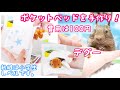 デグーにポケットベッドを作ってみた！必要なのは１００均のタオルだけ？家にある物を使って、裁縫は小学校で習ったレベルでも作れる、小動物用ポケットベッドの作り方を紹介します。