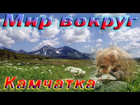 Video: Biljke i životinje regije Čeljabinsk: fotografija i opis. Crvena knjiga Čeljabinske oblasti