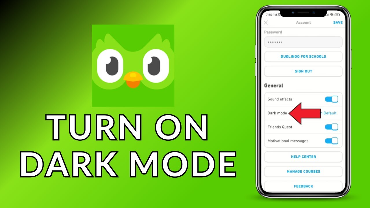 How to Turn on Dark Mode on Duolingo? 2024 (Quick