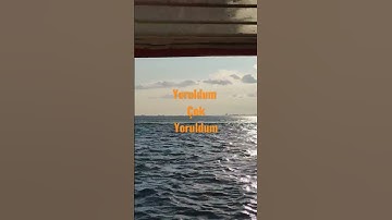 Thumbnail of nerden bileceksiniz Ahmet kaya