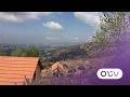 Discover The Qrayel Festivals 