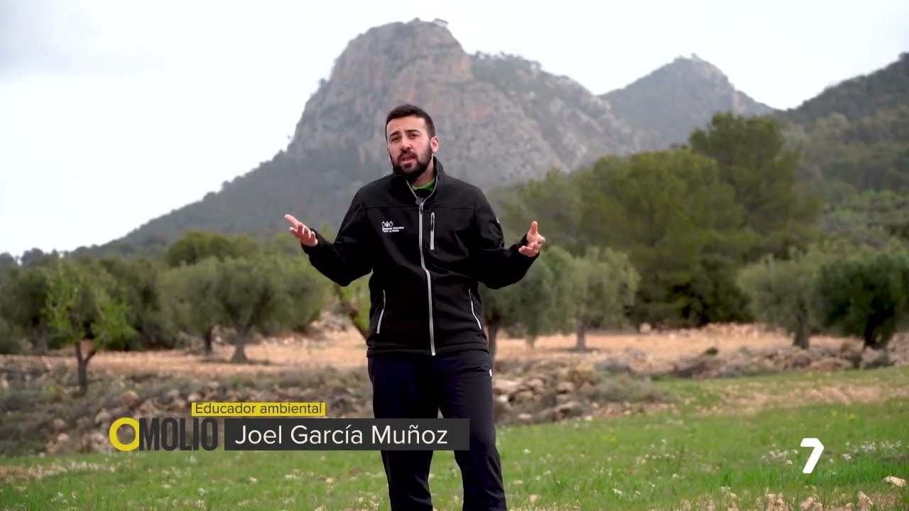 PARQUE REGIONAL SIERRA DEL CARCHE - ORO MOLÍO