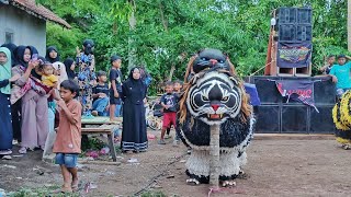 DRUMBAND MAONG REMAS KETIKA TAMPIL DI MAESAN BONDOWOSO