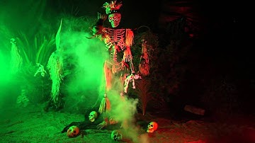 Papa VooDoo Prop video