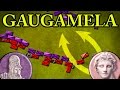 alexander the great battle of gaugamela 331 bc