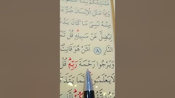 سورة الزمر الأية 9 إلى 10 القارئ سعد الغامدي