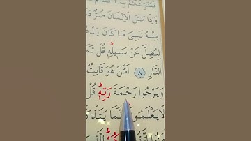 سورة الزمر الأية 9 إلى 10 القارئ سعد الغامدي