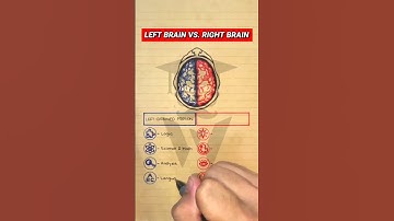 Left Brain Vs. Right Brain Functions