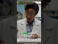 Chemical Inheritance: DDT's Shadow Across Generations