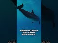 Your Entire Skin Gets Replaced Every 2 Hours (If You're a Dolphin)