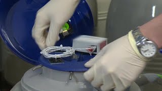 2nd fertility clinic reports equipment failure, hundreds of embryos may be damaged