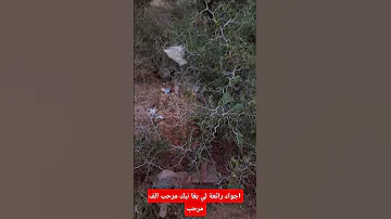 شكون عرف هاد البلاصة يكتبها لينا تعليق Smahan El نوصلوا القناة 100k اكسبلور شعب الصيني ماله حل 