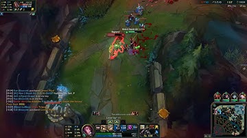 fiora riposte darius