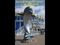 🐬Дельфинарий Немо🐬, Минск / Nemo Dolphinarium, Minsk, Belarus