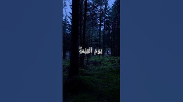 سورة آل عمران ـ الشيخ ياسر الدوسري #القرآن_الكريم #قرآن #قران_كريم #اكسبلور