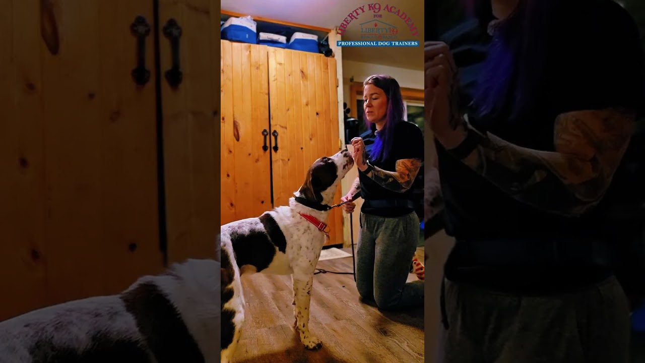 Teaching Down - Nemo's First Session