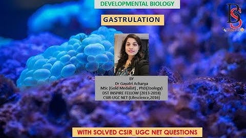Gastrulation /Developmental biology/ Life Science/ CSIR-UGC NET/ By Dr Gayatri Acharya