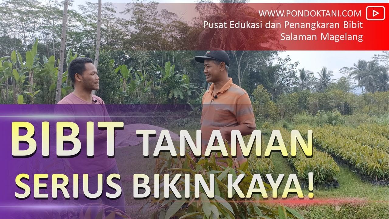 PENANGKARAN BIBIT TANAMAN TERBESAR | SALAMAN MAGELANG