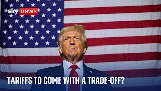 Trump tariffs: What could be the fallout of new president's plans?