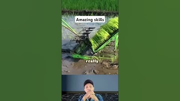 simple tools for planting rice