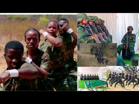 IHERE IJISHO IMYITOZO IKAZE Y'INTORE Z'INDANGAMIRWA MU KIGO CYA GISIRIKARI CYA GABIRO