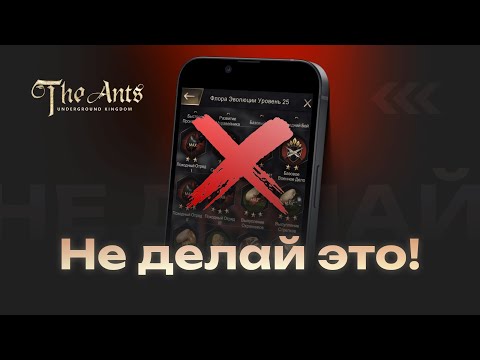 Видео: Хочешь топовый муравейник? 5 главных ошибок новичков в The Ants