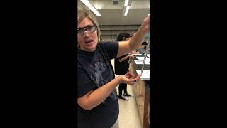 Pipette Video Rough Draft