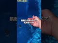八街ヴィラ【OASIS Studio】日帰りプランについて