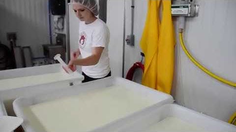 Redhead Creamery - Step Three: Add Rennet