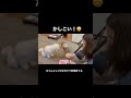 【中町兄妹】めちゃめちゃかしこい#shorts #short #切り抜き #中町綾 #jp #切り抜き #中町兄妹