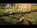 Wonder of sylhet  beautiful bangladesh travel film