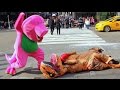 Barney VS T-Rex Epic Fight Prank In NYC!