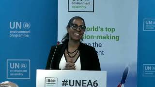 UNEA-6: Making nitrogen visible through the Sustainable Development Goals