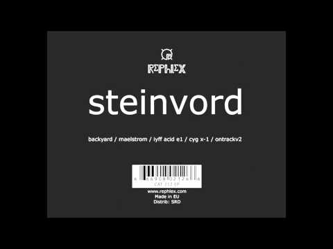 Steinvord artwork