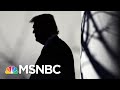 Michael Steele: Karl Rove's Not The RINO. Trump Is The RINO | The 11th Hour | MSNBC