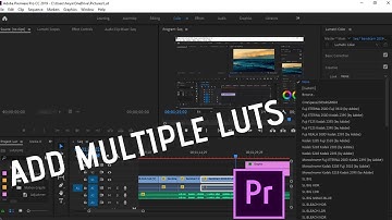 HOW TO INSTALL MULTIPLE LUTS IN PREMIERE PRO 2019