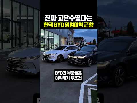 진짜 고단수였다는 한국 BYD 영업이익 근황 thumbnail