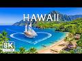 Hawaii 8K Drone Footage | Crystal Waters, Golden Shores & Island Dreams UHD