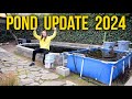 Koi pond and aquarium updates 2024