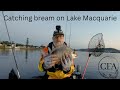 Kayak fishing  catching bream  fishing lake macquarie