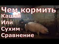 Чем кормить/Кашей или сухим комбикормом