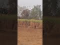 #trendingshorts #trendingshorts #minivlog #viralshorts