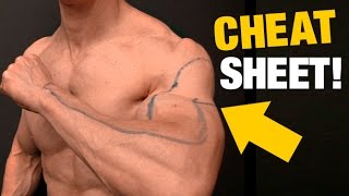 Pullup vs Chinup Grip Width (CHEAT SHEET!)