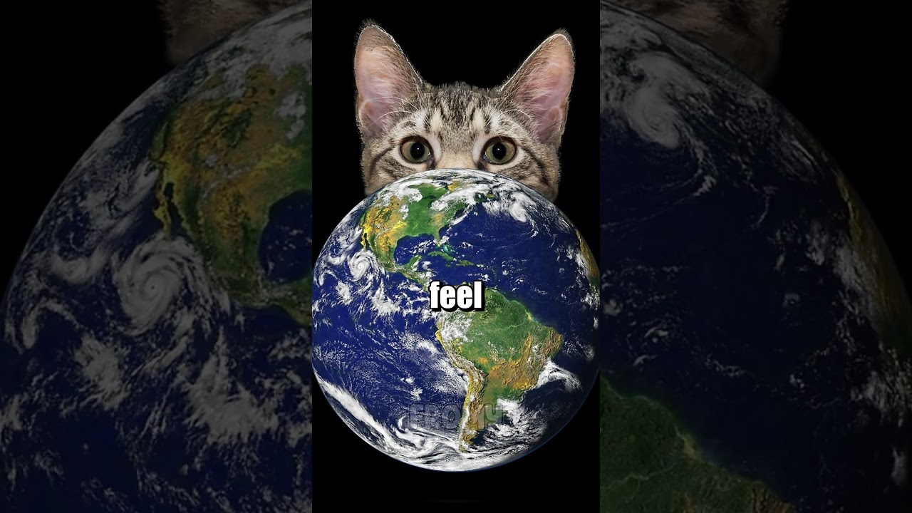 What happens if all people jump at the same time? 🙀