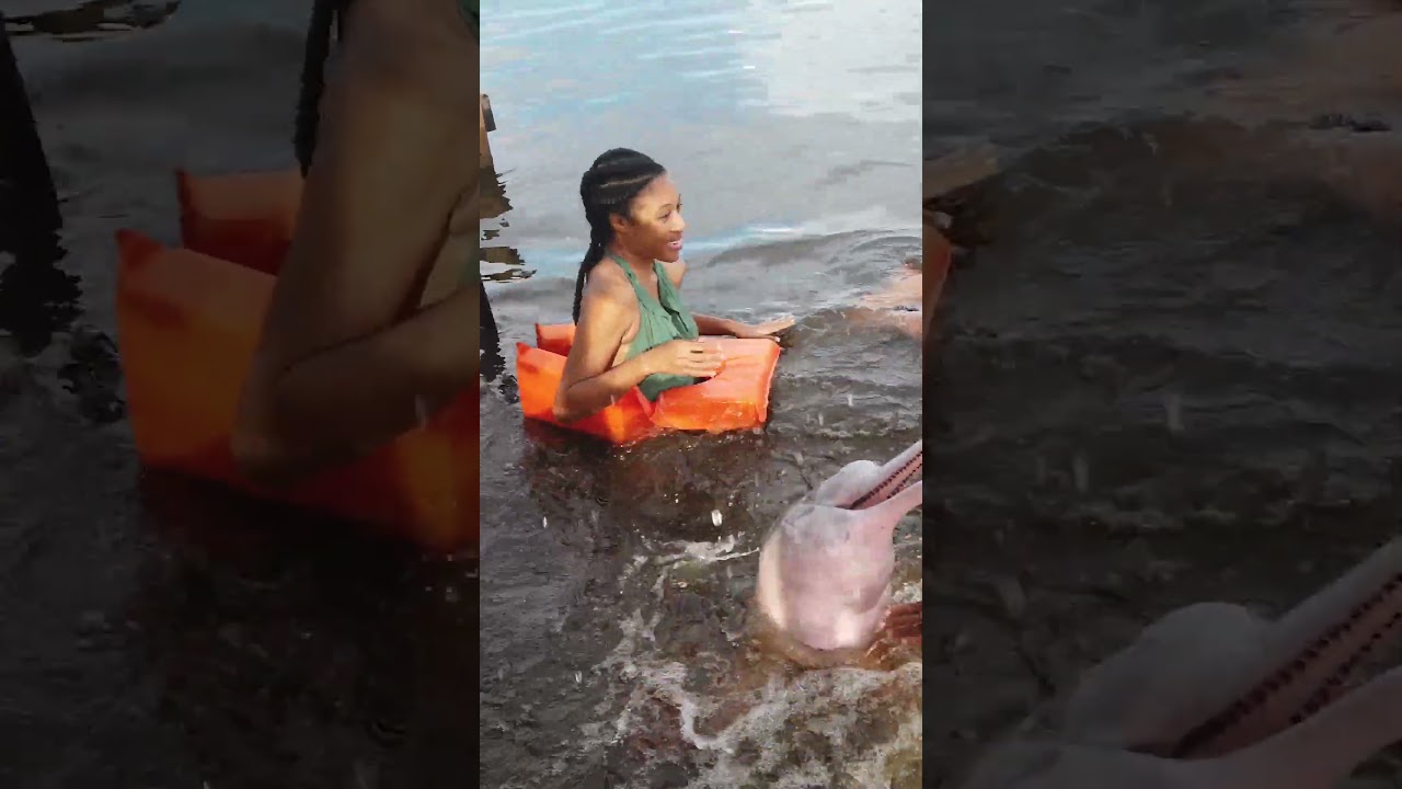 Girl Freaks Out After Swimming With Pink Dolphin |  Funniest Animal Video